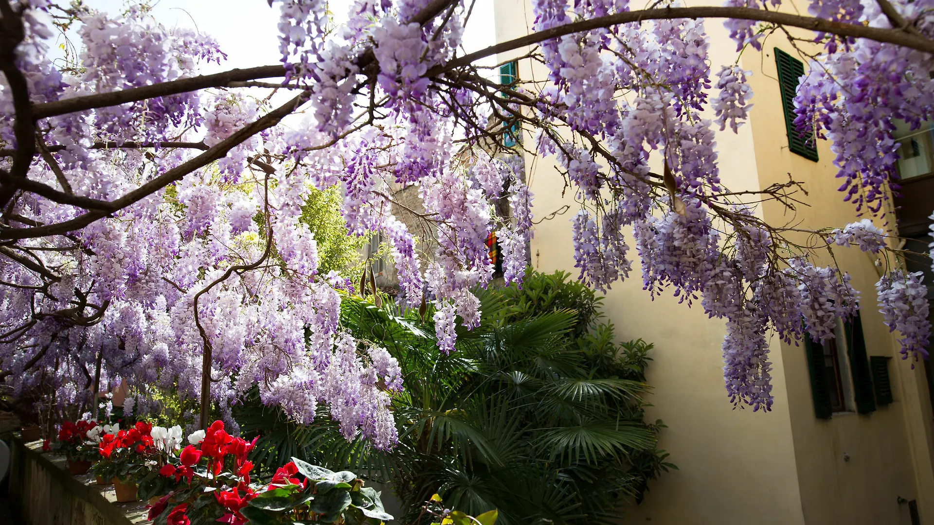 Locanda Orchidea Florencja Włochy
